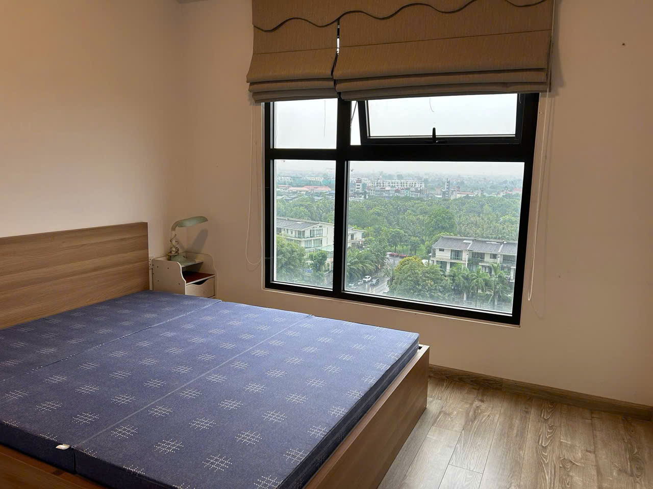 Căn hộ 2 phòng ngủ, full đồ đẹp, có view hồ bên tòa Lake 2 Ecopark cho thuê 4