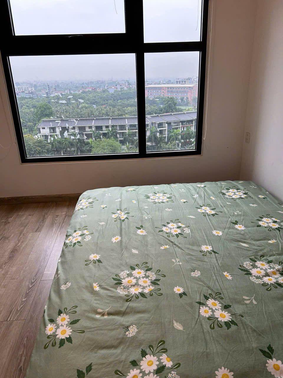 Căn hộ 2 phòng ngủ, full đồ đẹp, có view hồ bên tòa Lake 2 Ecopark cho thuê 5