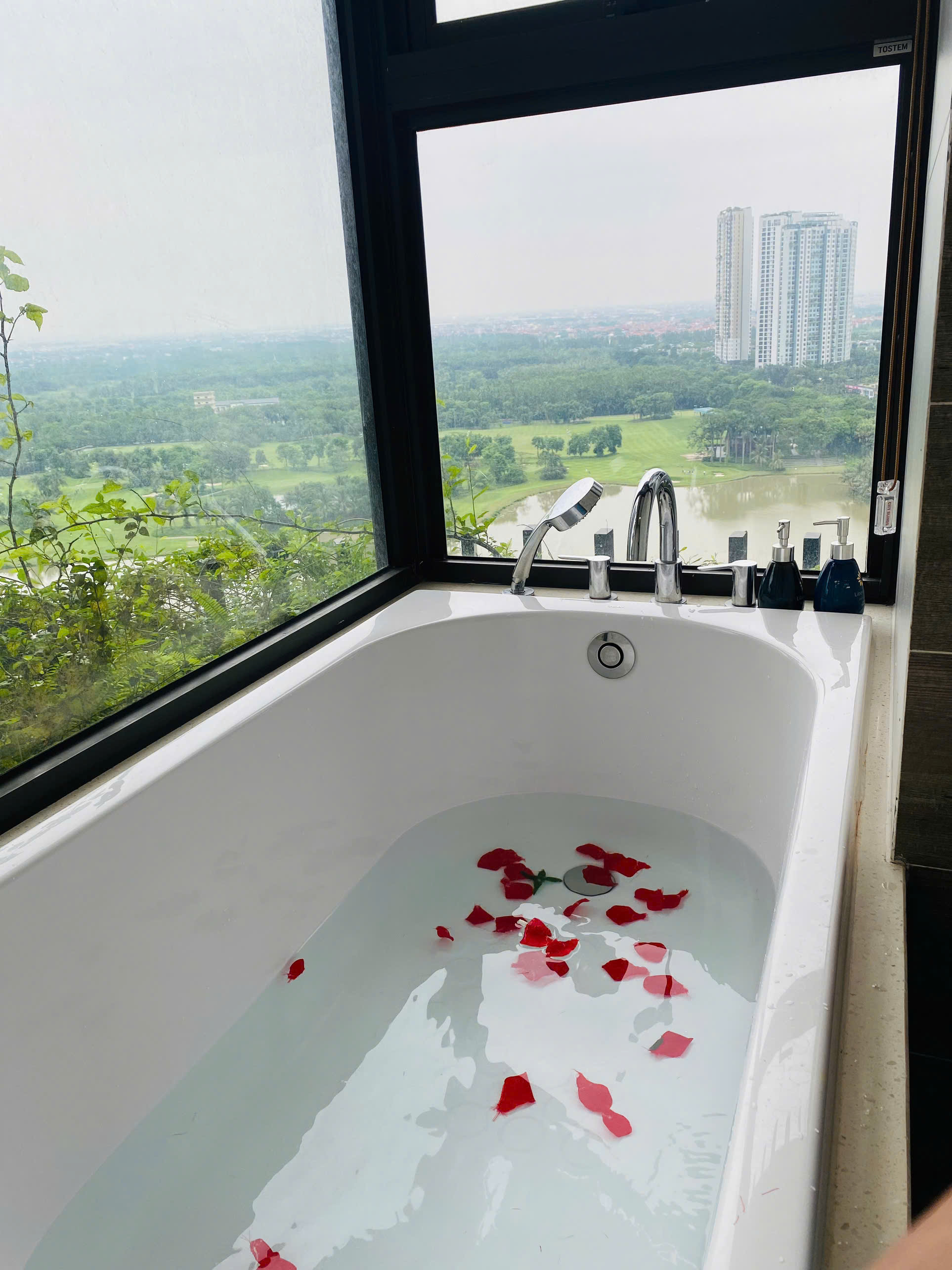 căn hộ 2 phòng ngủ giá tốt tòa R1 Onsen Ecopark cho thuê 6