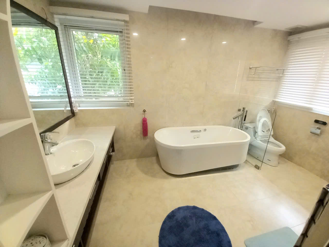 CHO THUÊ BIỆT THỰ ĐƠN LẬP VƯỜN MAI ECOPARK VĂN GIANG 12