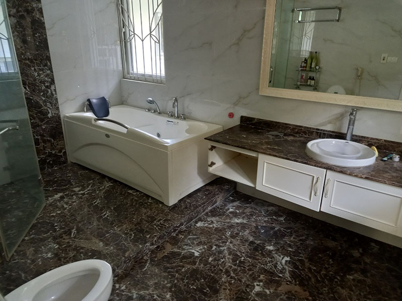 Fully furnished villa in Vuon Mai near Spring Park 7