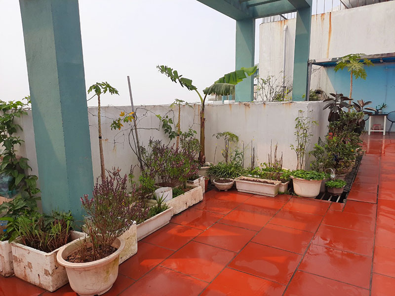 Penthouse in Lake 1 Aquabay for rent , 2 bedrooms, big garden 14