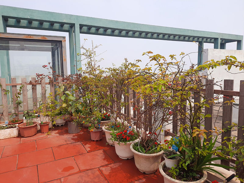 Penthouse in Lake 1 Aquabay for rent , 2 bedrooms, big garden 15