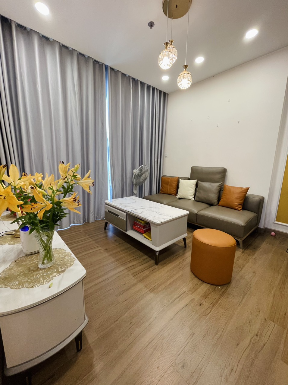 3 bedrooms apartment in sky oasis rental