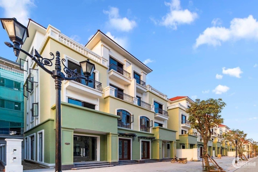 Cho thuê shophouse thương mại dịch vụ phân khu Cọ Xanh Vinhomes Ocean Park 2 - 160m2