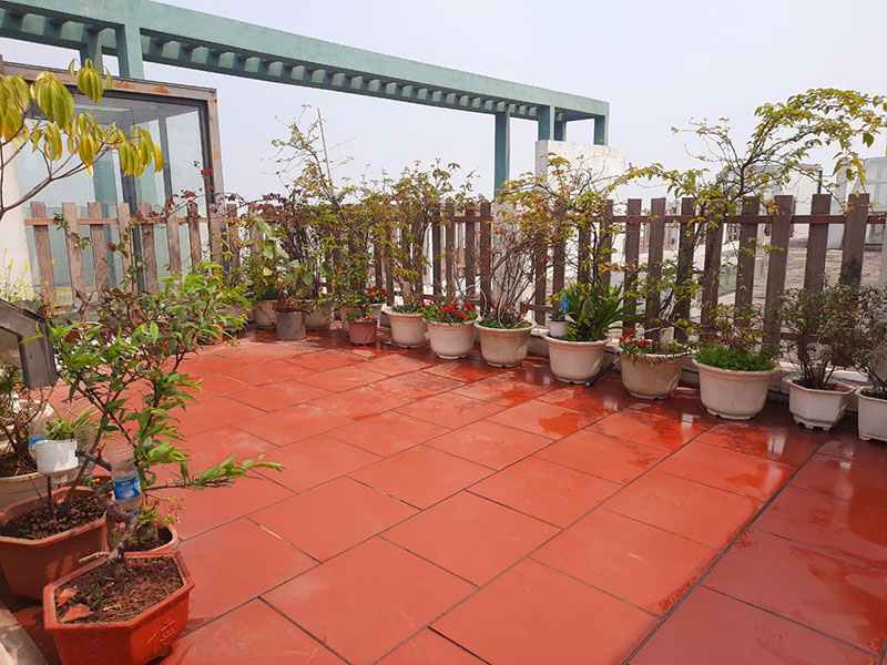 Penthouse in Lake 1 Aquabay for rent , 2 bedrooms, big garden